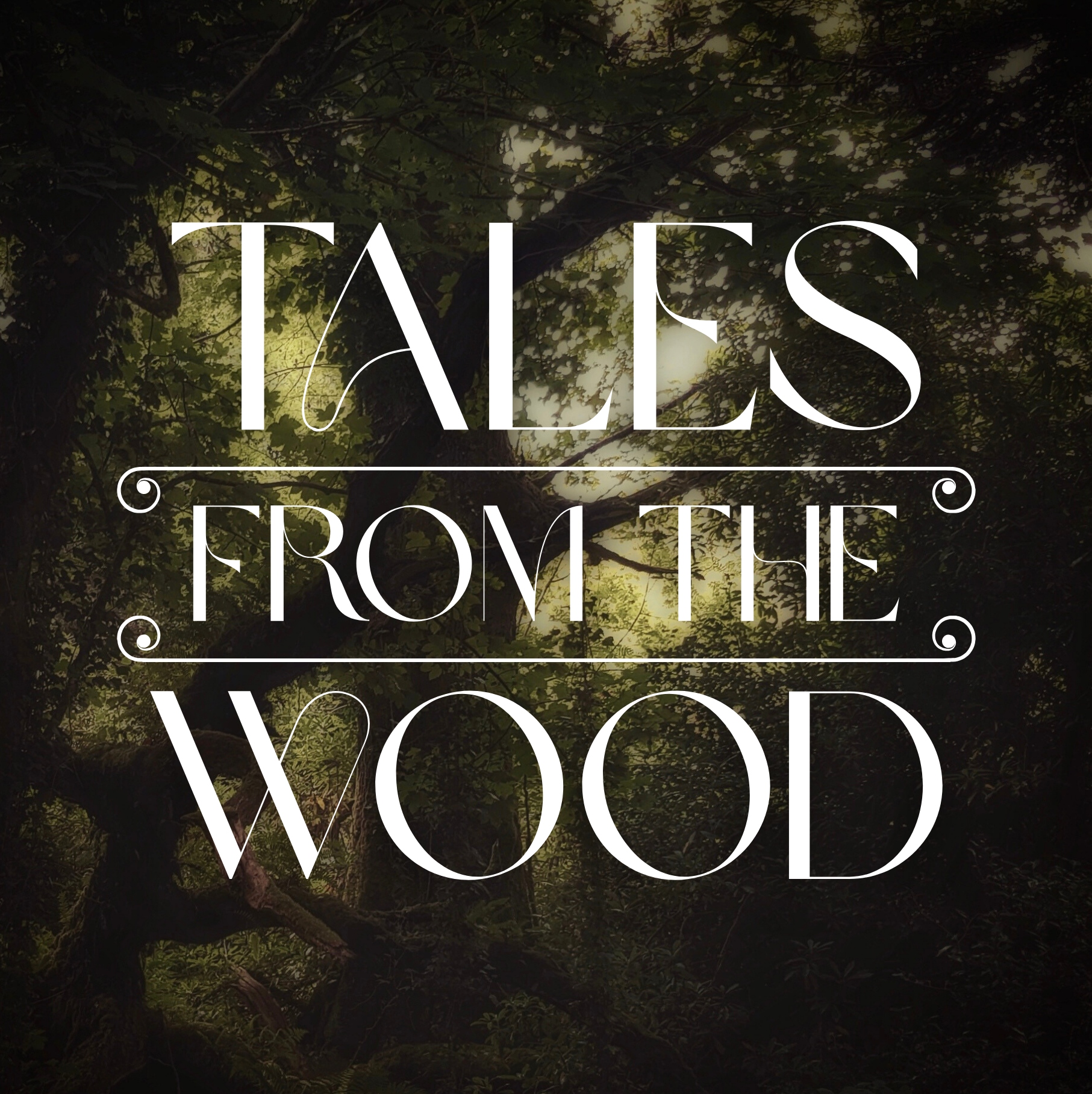 Tales From The Wood